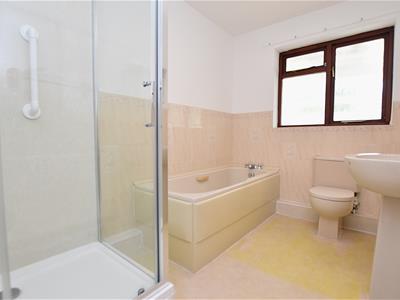 Picture 15